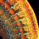 Illustration for article titled These Science Photos Are So Beautiful Theyre Basically Art